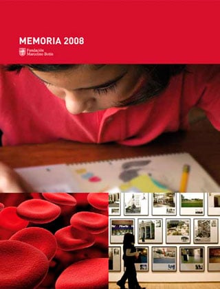 Memoria 2008