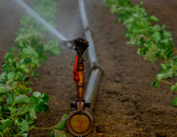 La Fundación Botín y la UIMP organizan una formación sobre los “Retos del agua en España: el futuro de la agricultura de regadío”