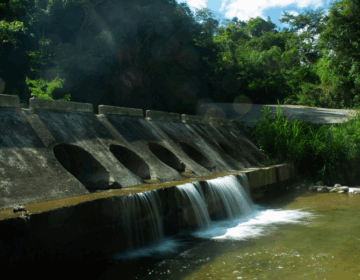 Sin una gestión sostenible del agua no hay producción de alimentos
