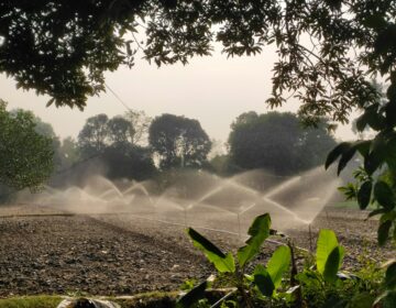 Sin una gestión sostenible del agua no hay producción de alimentos
