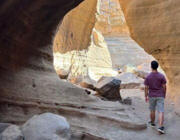 Impacto de las condiciones atmosféricas en la dinámica y la selección de rutas en el Camino de Santiago
