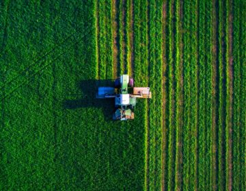 La importancia de la agricultura y la ganadería en el desarrollo económico de un país